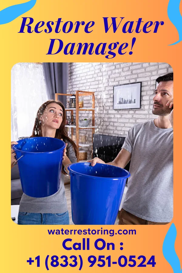 water restoration National Water Damage Crew Ferris