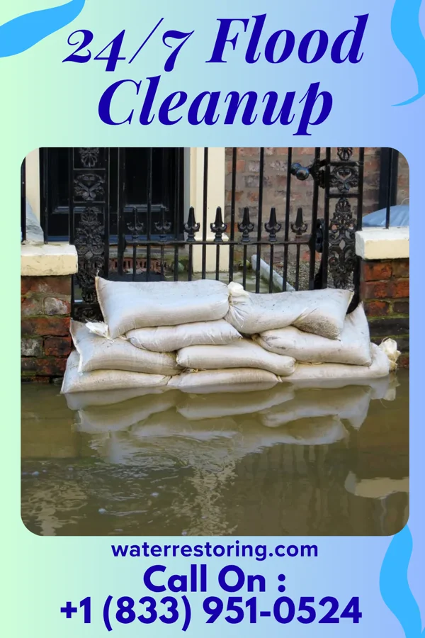24/7 Flood Cleanup in Ferris, IL