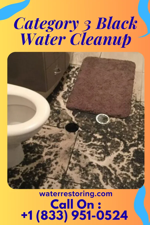 Category 3 Black Water Cleanup in Ferris, IL