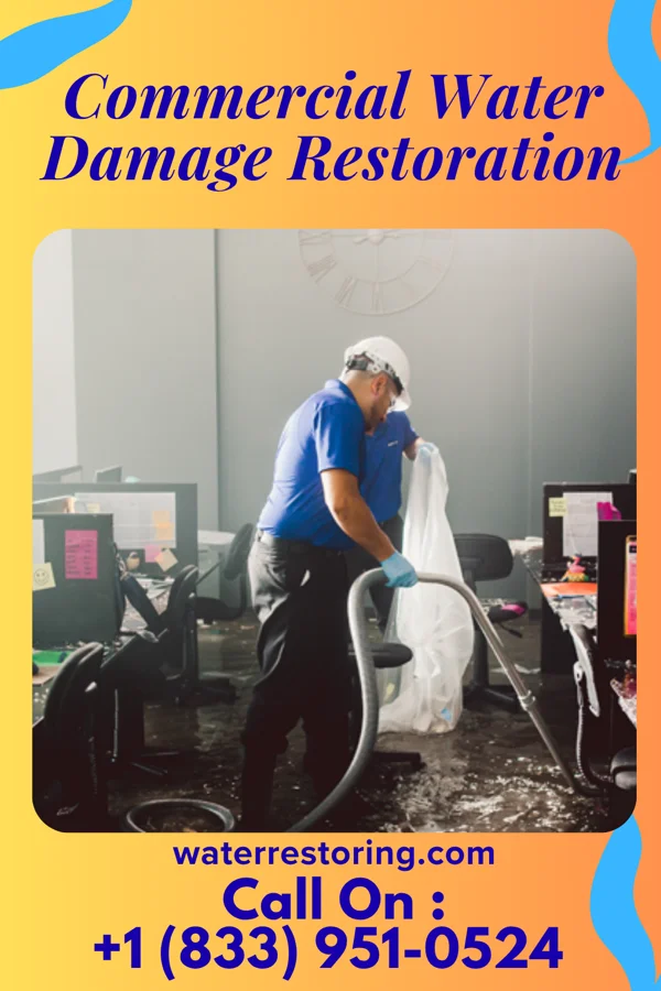 Commercial Water Damage Restoration in Ferris, IL
